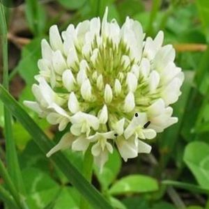 Meet your Posher, Gianna